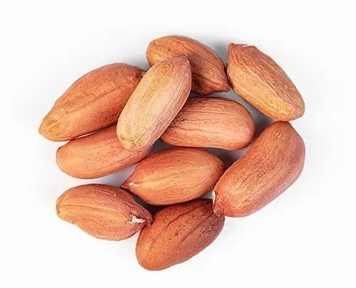 Peanuts Raw