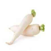 Daikon Radish 1 LBS