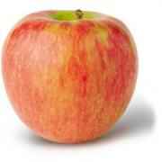 HONEY CRISP Apple 1 LBS