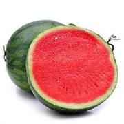 SEEDLESS WATER MELON 1 LBS