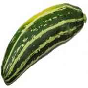 SQUASH.ZUCCHINI 1 COUNT