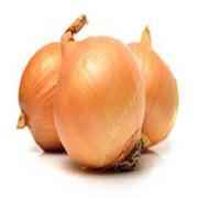 ONION SPANISH 1 COUNT