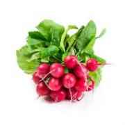 RADISH BUNCH RED 1 BUNCH