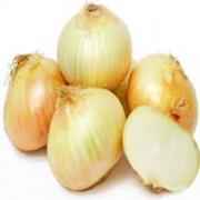 SWEET ONION 1 COUNT