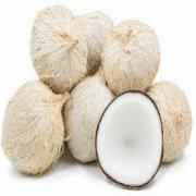 COCONUT WHITE 1 COUNT