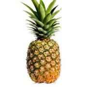 PINEAPPLE LARGE 1 COUNT