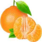 SWEET CLEMENTINE 1 COUNT