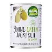 ARROY  D YOUNGGREEN JACKFRUIT 20 OZ