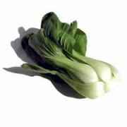 BABY BOCK CHOY 1 LBS