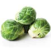 BRUSSELS SPROUTS 1 LBS