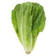 LETTUCE ROMAINE 1 LBS