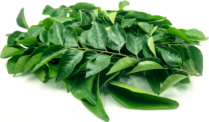 CURRY LEAVES 1 LBS