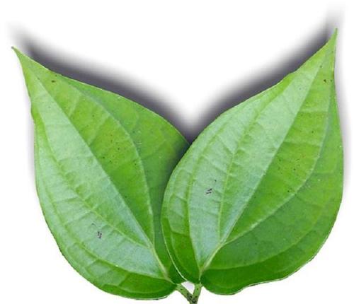 PAN LEAVES 1 LBS