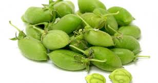 GARBANZOS BEANS 1 LBS