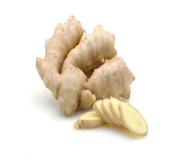 TURMERIC WHITE 1 LBS