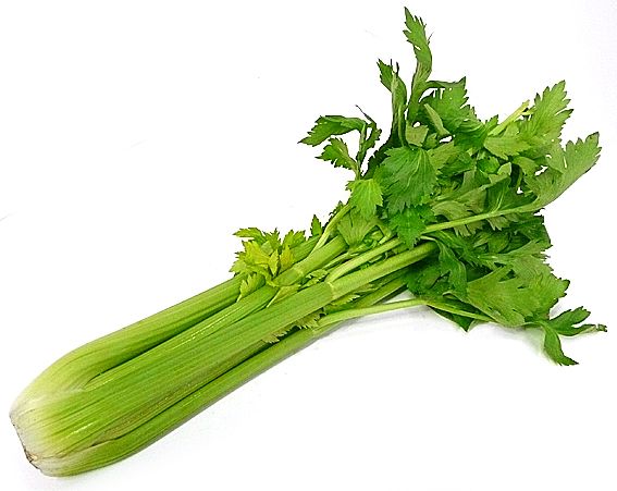 BUNCH CELERY 1 LBS
