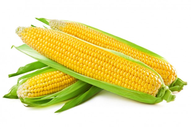 YELLOW CORN 1 LBS