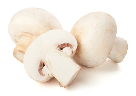 WHITE MUSHROOM 1 LBS