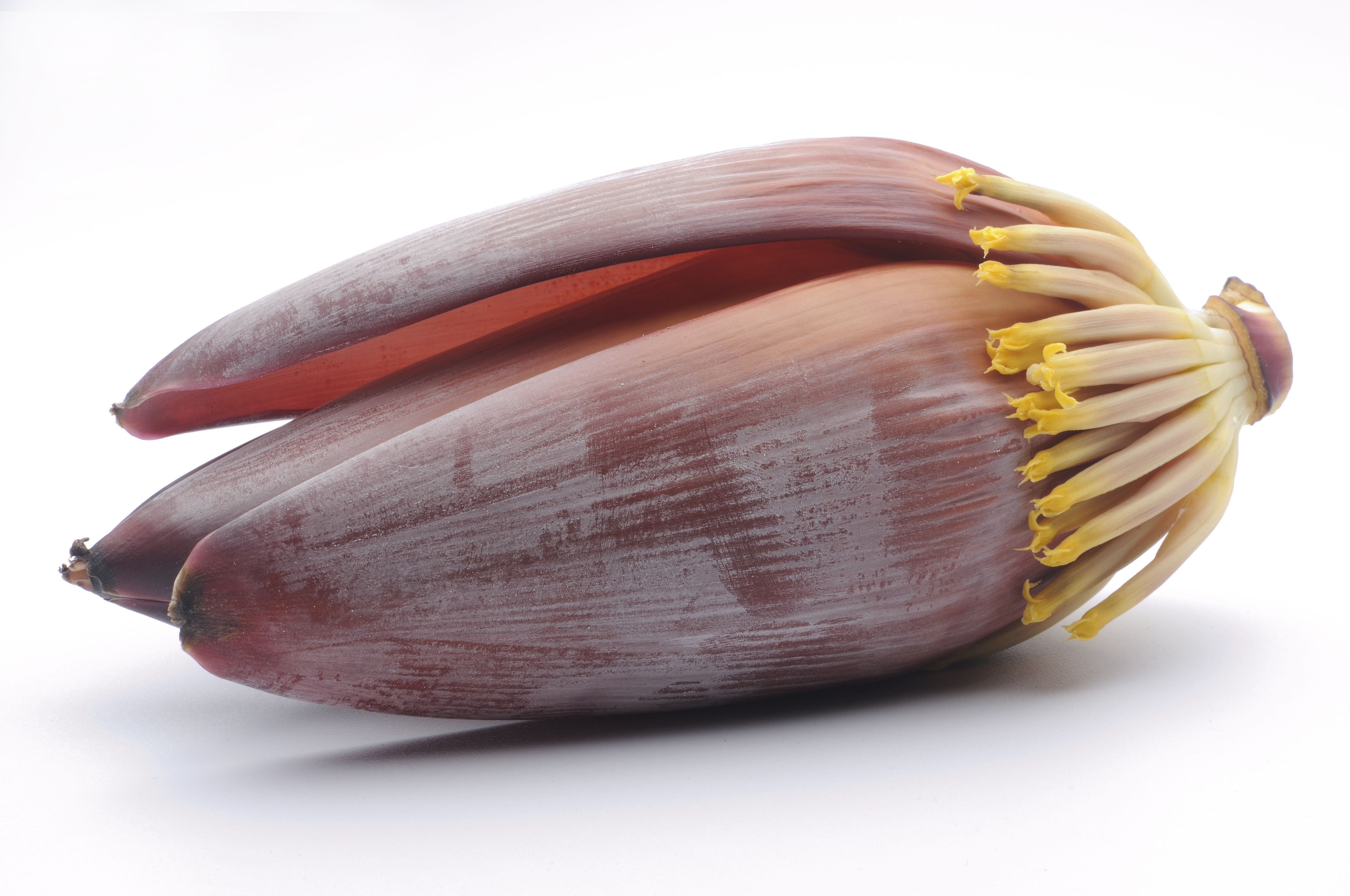 BANANA FLOWER 1 LBS