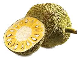 JACK FRUIT 1 LBS