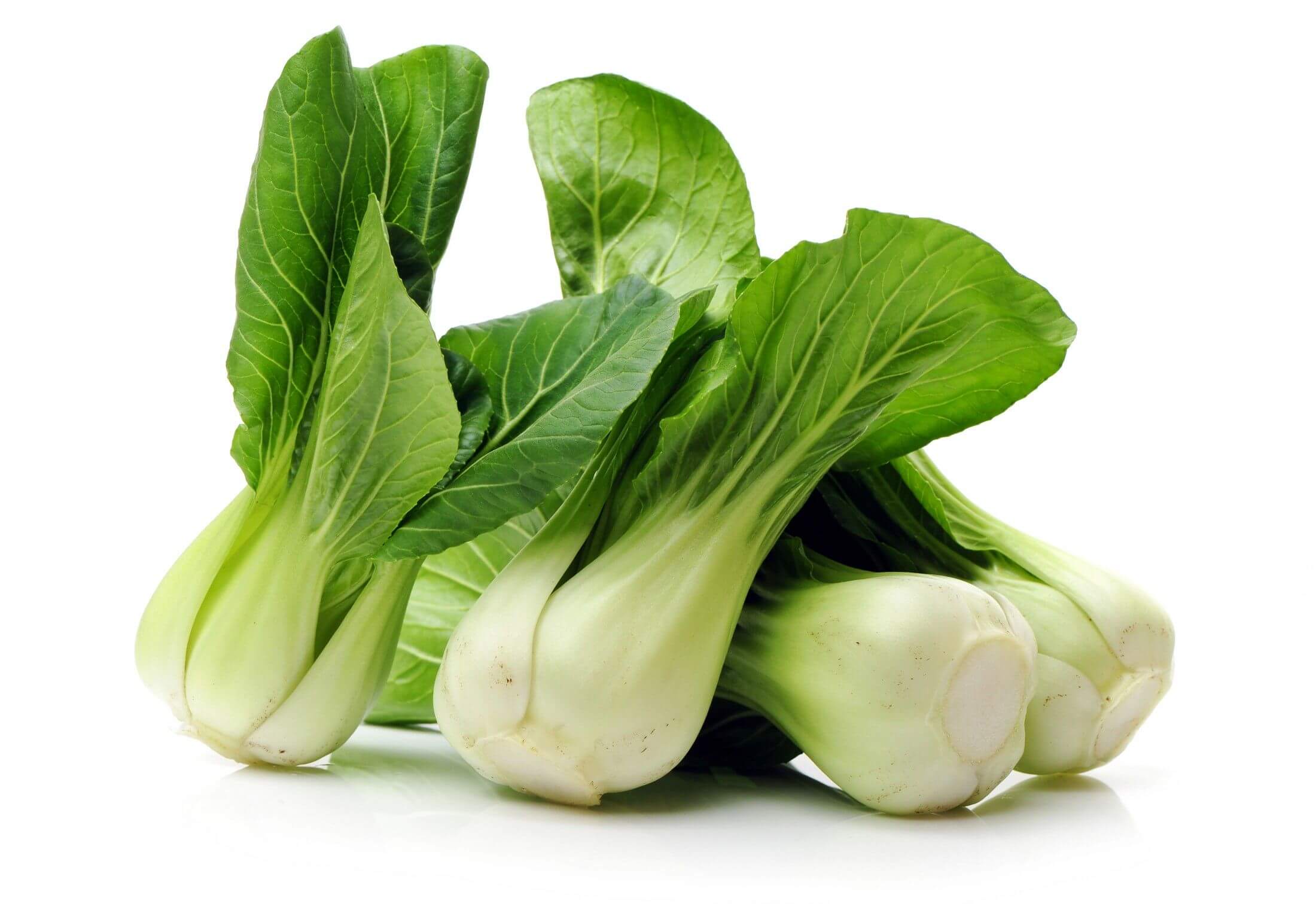 BABY BOK CHOY 1 LBS