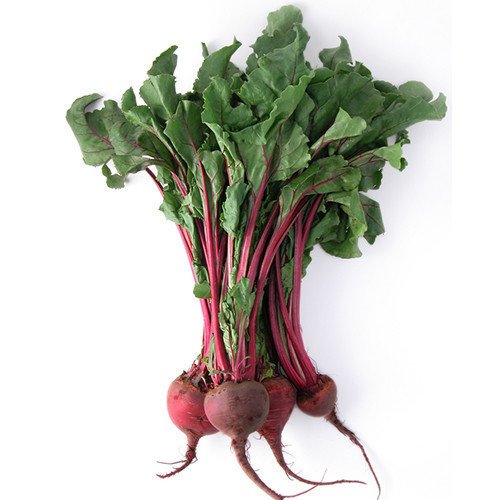 BUNCH BEET 1 LBS