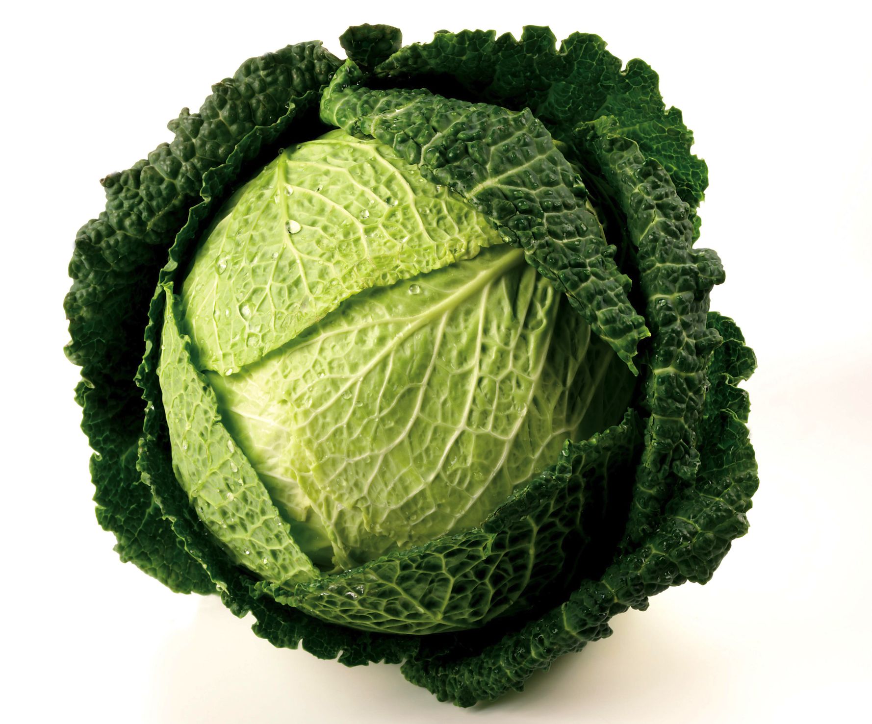 SAVOY CABBAGE 1 LBS