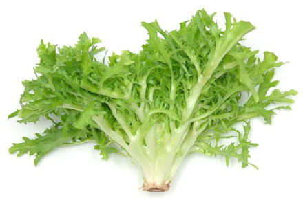 ENDIVE 1 LBS
