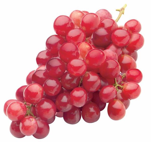 GRAPE GLOBE RED 1 LBS