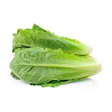 ROMAINE LETTUCE 1 LBS