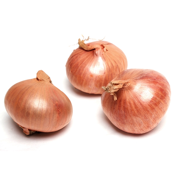 SHALLOTS 1 LBS