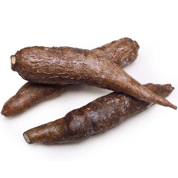 YUCA ROOT 1 LBS