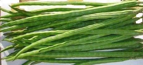FRESH DRUMSTICKS 1 LBS