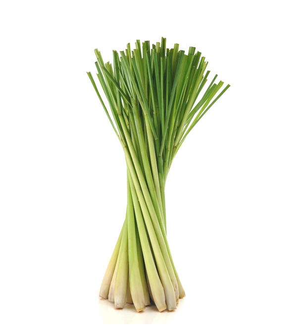 LEMON GRASS 1 LBS