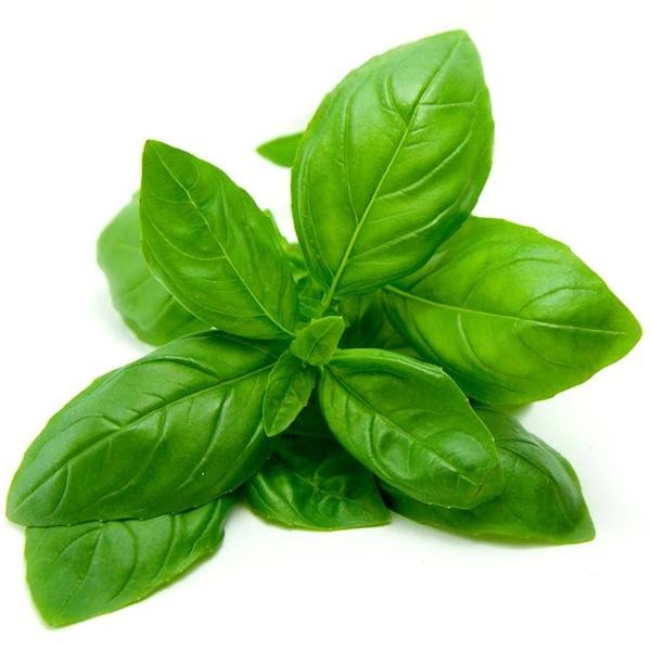 BASIL LEAVE 1 LBS