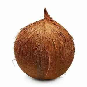 Coconut
