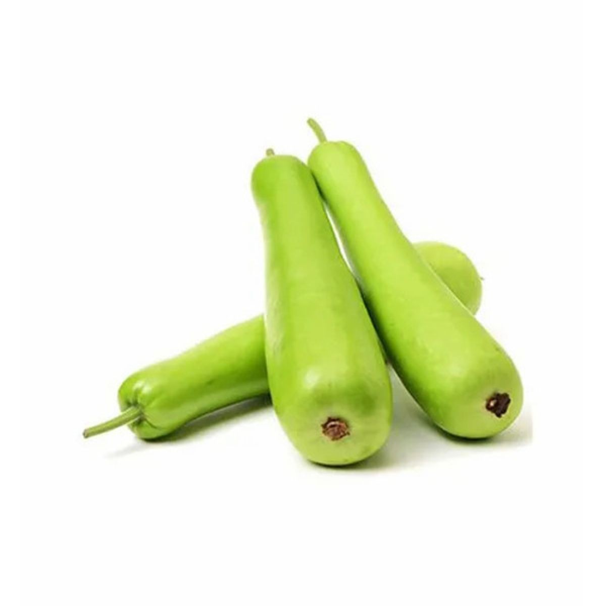 Opo Squash 1 LBS