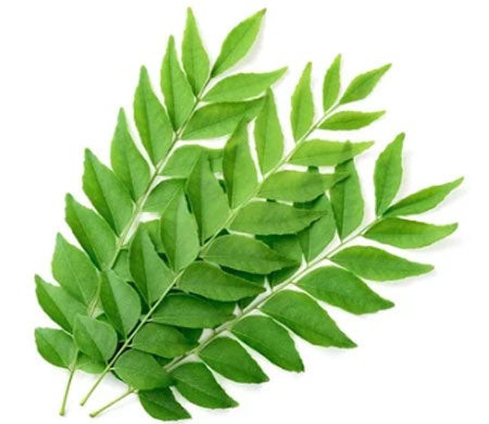 Curry Leaves 1 BUNCH