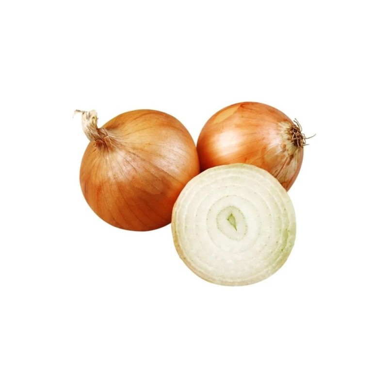 Onion Yellow 1 LBS