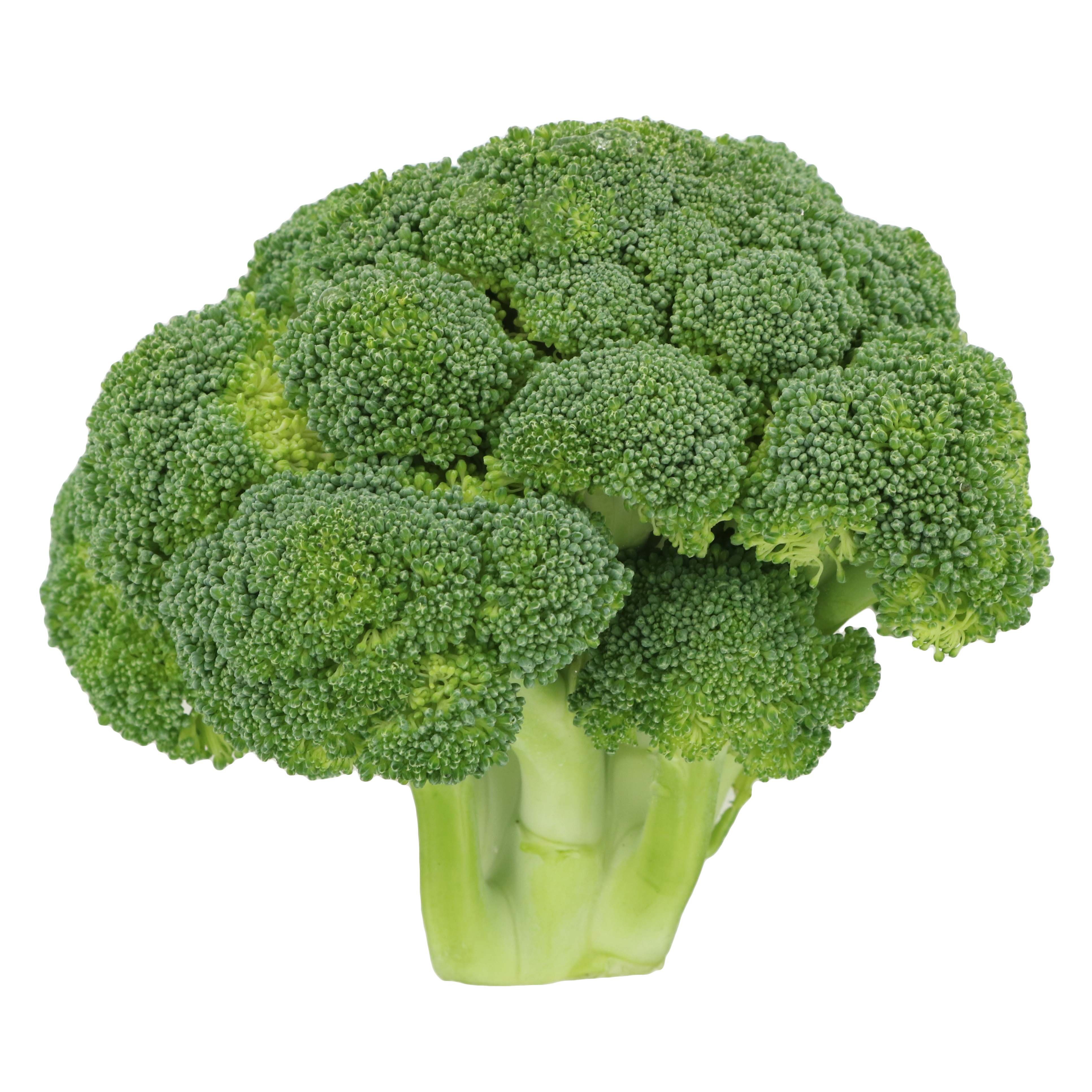 BROCCOLI 1 LBS