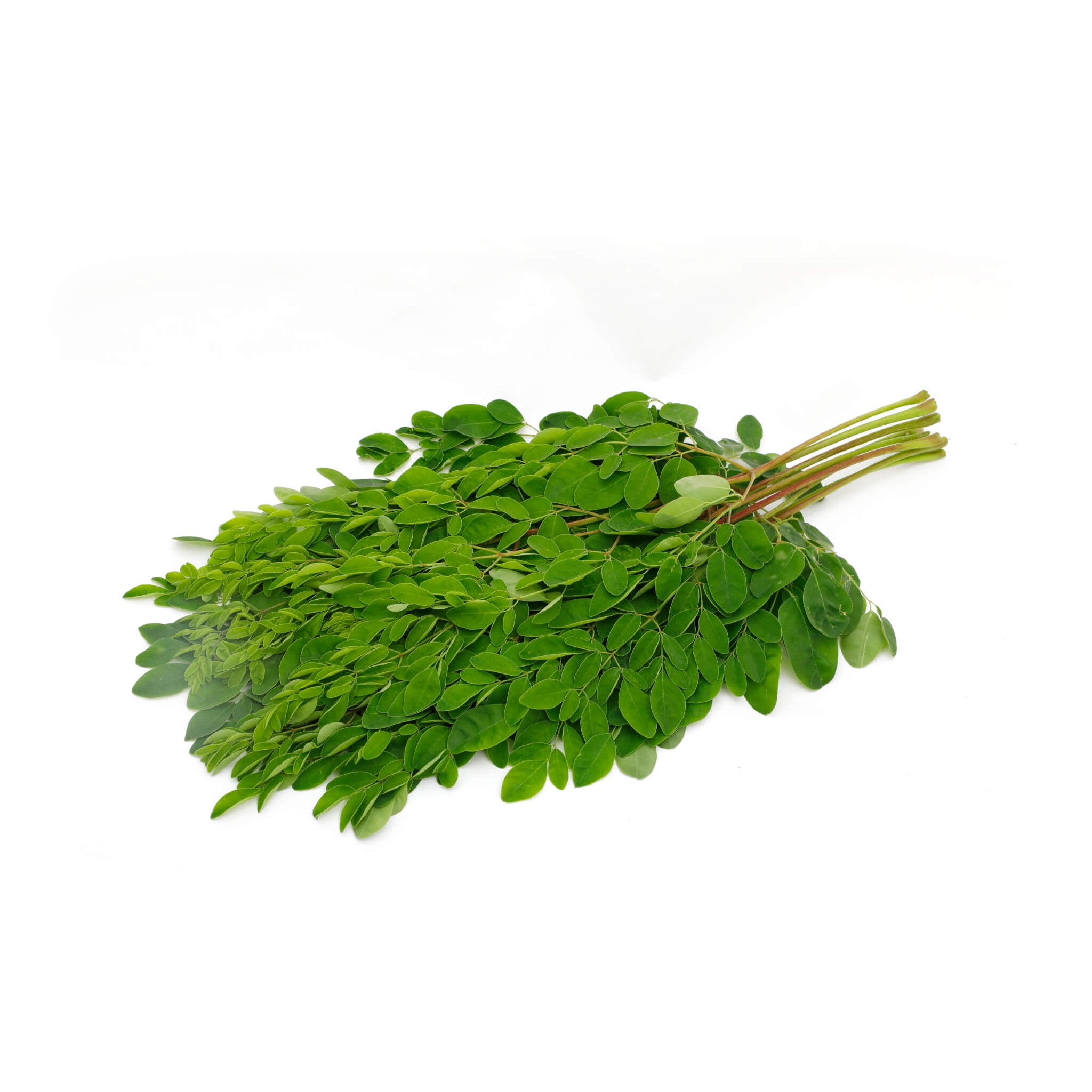 DRUMSTICK LEAVES BUNCH 1 BUNCH