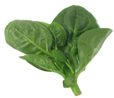 Spinach Indian 1 LBS