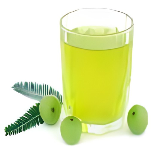 Goose Berry Juice 480 ML