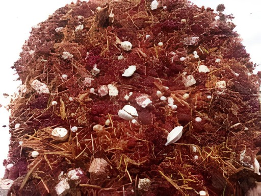 Sawan Nazrana Mix 180 GM