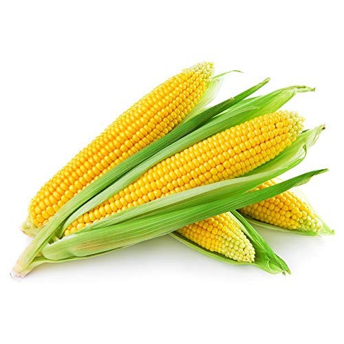 CORN 1 PCS