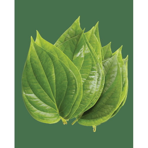 PAAN LEAVES IB(EA)