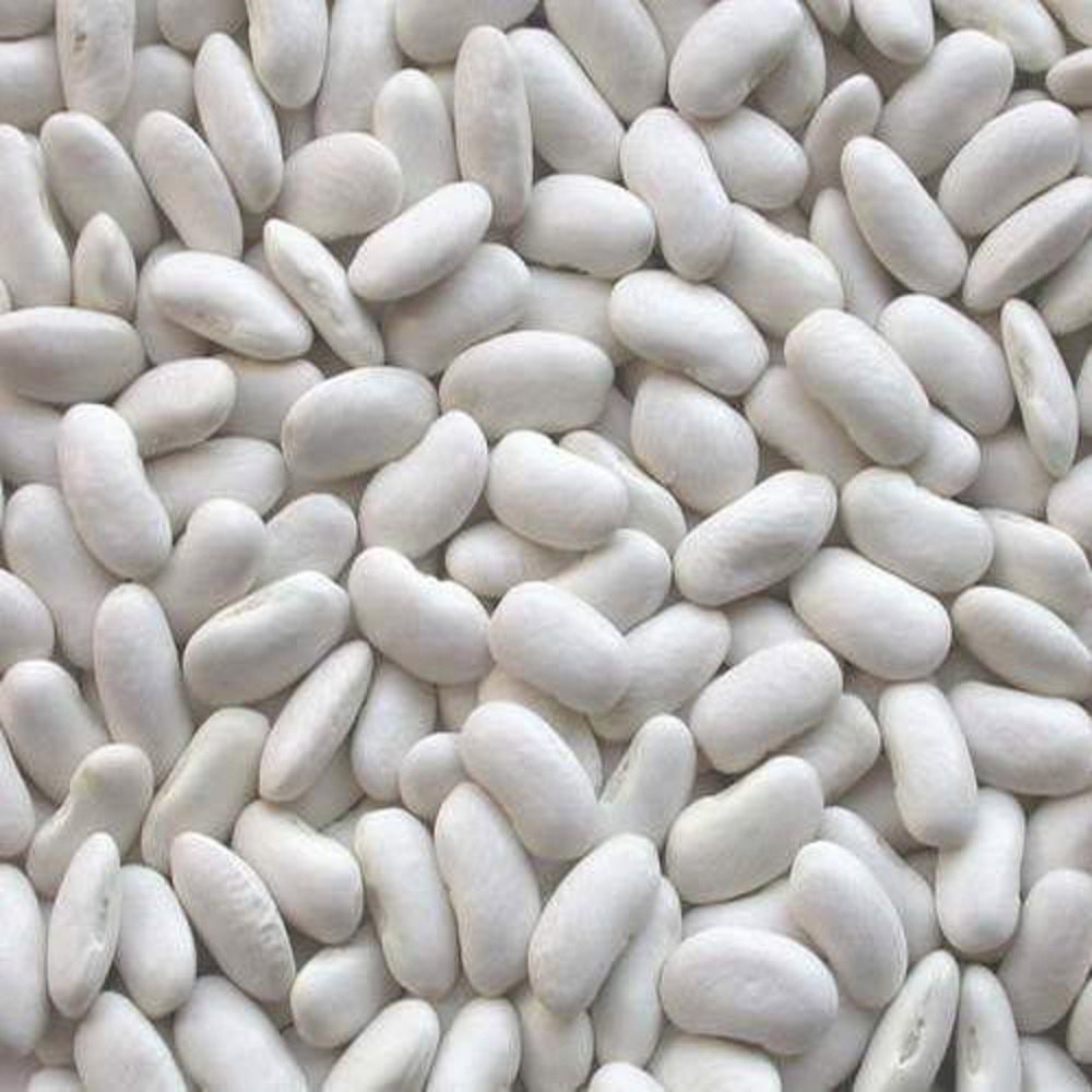 LONG WHITE BEANS