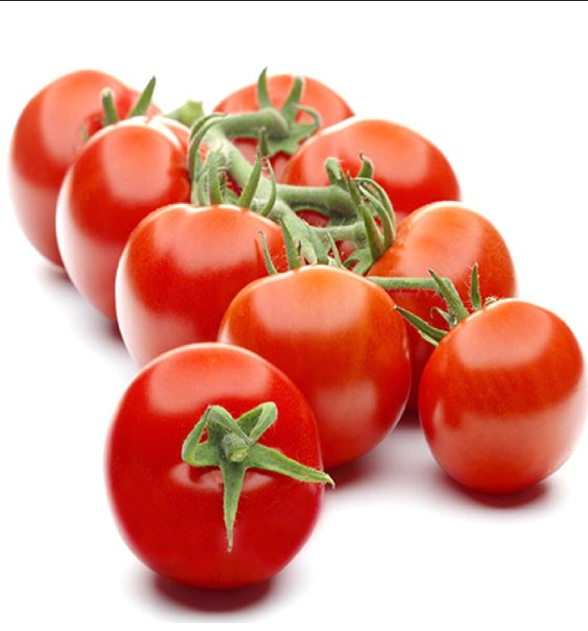 CAMPARI TOMATO PACK