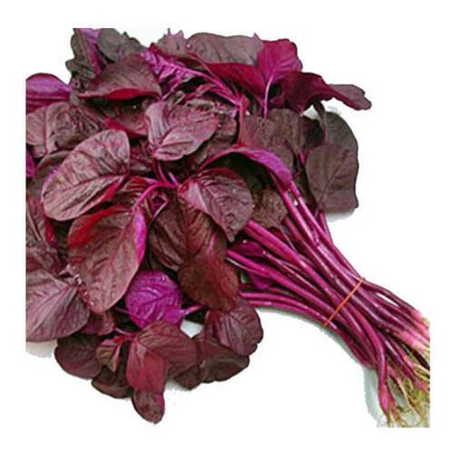 RED/ AMARANTH LEAVES