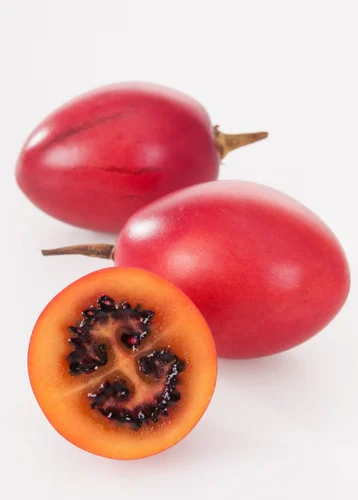 TREE RIPE TOMATO